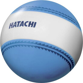 【スーパーセール期間中 MAX4,000円OFFクーポン】 ハタチ HATACHI ナビゲーションボール BH3851 27