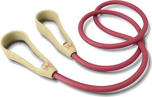 y30E1̓|Cg10{z ACR ALINCO GNTTCY`[u \tg WBF113R