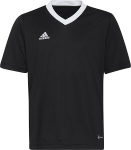 y1̓|Cg15{z AfB_X adidas TbJ[ Entrada 22 W[W[ TVc gbvX qǂ LbY WjA TbJ[EFA K ړ ւ g[jO ؃g  N