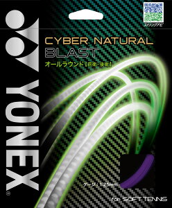 �y14��20������MAX4,000�~OFF��P15�{�z ���l�b�N�X YONEX �e�j�X �T�C�o�[�i�`�������u���X�g �K�b�g �X�g�����O �i�C���� �\�t�g�e�j�X�K�b�g ��e�j�X�K�b�g �I�[�����E���h �O�q ��q FA�i�C