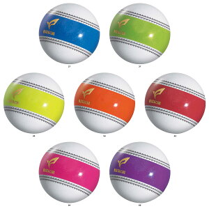 y1410|CgAbvz n^` HATACHI PGirQ[V p[NSt irQ[V{[ {p[NStFi C z[C  򋗗  V3s[X