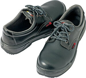 y30̓|Cg10{z ACgX AITOZ Z[teBV[Y E^+SZCq Xj[J[ ϏՌ c SC HX H Hi ~[ ƌC ɂ Y fB[X l 59825