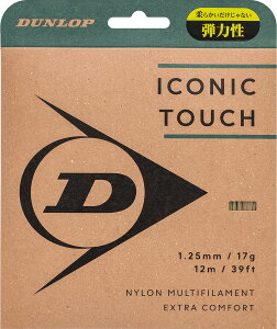 �y26��2���܂Ń|�C���g�A�b�v�z �_�����b�v DUNLOP �e�j�X ICONIC TOUCH DSTA31011