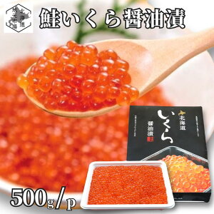  ݖЂ 嗱 500g /  kC  oR ϔ CN VR H (500g)