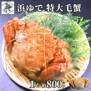 kCns kCY т 800g 1 TCY IX Iz[cN l {C ъI Ⓚ