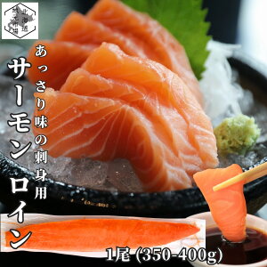 T[  hgp 3 (350-400g/) g  Ɩp hg  TN C gEg  i hg H Ⓚ Hא؂ ^ Ȃ Ȃ ȒP Hp