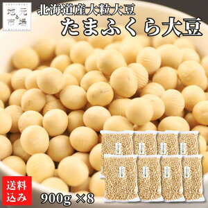 ubNtCf[ԃ|Cg+7{ y12܂œoׁz 哤 ܂ӂ kC 900g ×5 嗱 Y ߘa6NY ^}tN 哤 ϓ kls