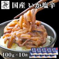 【楽天SS P+10倍/16時まで当日出荷】 国産 いか塩辛 飲兵衛 3kg (100g×10袋) 函館 イカ 小分け パック …