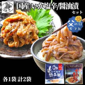 【16時まで当日出荷】 函館 いか塩辛 するめいか醤油漬 おつまみセット 2袋 (塩辛1 + 醤油漬1) 国産 いか 沖漬け お歳暮 ギフト 北海道