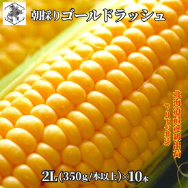出荷中 お買い物マラソン期間ポイント+4倍 早割 【2025】7月下旬より発送 とうもろこし 北海道 ゴールドラッシュ 2Lサイズ × 10本 (350g/本以上) 朝採り 産地直送 スイートコーン とうきび ギフト 岡田農園 生で食べられる トウモロコシ【北海道最速 7月15日以降順次発送】