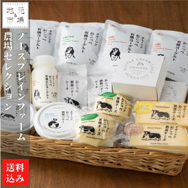【楽天SS P+2倍/産地直送】 北海道 乳製品 10種 詰め合わせ チーズ ヨーグルト 発酵バター スイーツ 有機 牧場 オーガニック 興部町 ノースプレインファーム お取り寄せ ギフト 内祝い 贈り物 お返し お中元 お歳暮 敬老 母の日