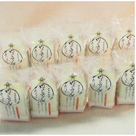 豆腐 北海道 やっこさんとうふ (300g×10 賞味期限30日) やっこさん 日乃出食品株式会社 産地直送