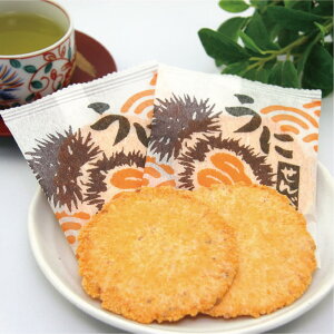 yP+2{ 0420:00-111:59z  ׂ ɂׂ 2×9 CN  ٓyY ݂₰ kC َs Ε Mtg ^