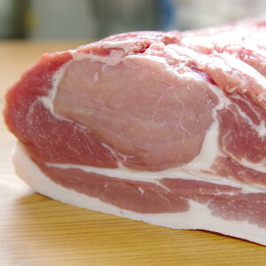 yP+2{ 2020:00-271:59z kC ؓ lߍ킹 ([X  o e500g gJcp[X 4) ~L[|[N Ԃ |[N kC W sbNt@[̑R Ε Mtg Y