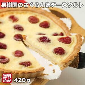 yP+2{ 0420:00-111:59z ʎ̂ڃ`[Y^g 420g×1 Ⓚ kCʎs 勴ډ  Mtg Yn
