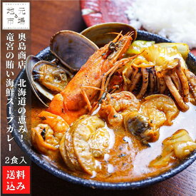 北海道の恵み！竜宮の賄い海鮮スープカレー 500g×2 冷凍 レトルト スープカレー 札幌市 奥芝商店 お歳暮 ギフト 産地直送