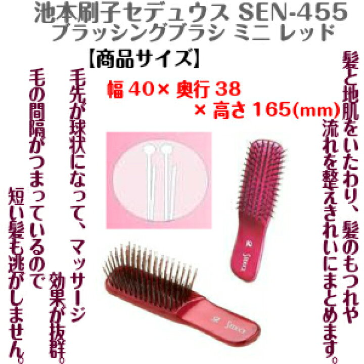 楽天市場】池本刷子 セデュウス ブラッシングブラシ ミニ レッド SEN 