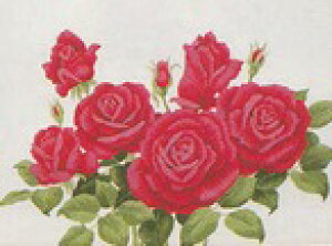 hJLbg No54g΂̉ԁi3j