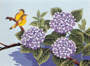hJLbg No147@Əi3j
