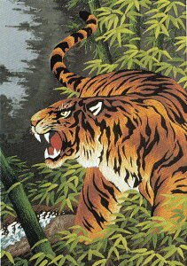 hJLbg No244ҌՈꐺi6j