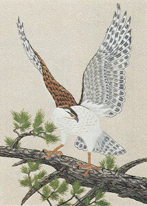 東京文化刺繍キット No279　たか（6号）
