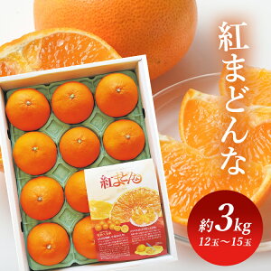 y1,000~OFFN[|119:59zQY g܂ǂ BENI-F0Mtg t[c ݂ g܂ǂ Q yTDz yszvyfz