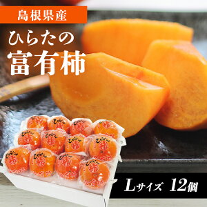 Ђ炽̕xL`()12 FYK-C6SMtg t[c xT`  yTDz yszv