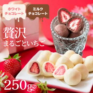 いちごチョコ フリーズドライ 贅沢まるごといちごのホワイトチョコ どっさり 250g 個包装 SM00010547 い…