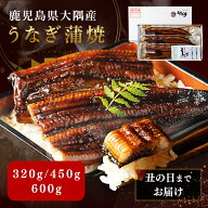 ＼発売記念★50％OFFクーポン！／うなぎ 鹿児島県 大隅産 うなぎ蒲焼 320g (160g×2尾) 450g(150g×3尾) …