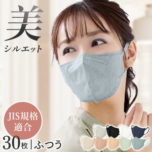 }XN ACXI[} sDz J[}XN  DAILY FIT MASK 30 y[x[W }XN ̃}XN J[ F}XN ӂ ԕ΍ ב΍ ʕ RK-F30S }XN ACXI[
