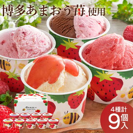 博多あまおうのこだわりアイス アイス アイスクリーム シャーベット 9個 AH-AB 送料無料 苺 いちご あまおう スイーツ ショコラ チョコレート チーズ バラエティ お祝い 洋菓子 ギフト 母の日 ははの日 父の日 お中元 御中元 【TD】【代引不可】