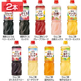 【2本】 飲むお酢 果実酢 お酢ドリンク 業務用フルーティス （6倍濃縮タイプ） 1000mL　飲むお酢 フルーティス フルーツビネガー ビネガードリンク 大容量 りんご酢 黒酢 フルーツ 酢 ビネガー 低カロリー カロリーゼロ mizkan ミツカン
