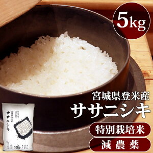 _ V I^yߘa7NYz 5kg  {錧Y TTjVL 5kg _ TTjVL {錧Y 5kg TTjVL R     ͂ 5LyTDzyTRSzy[J[iz