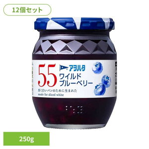 y12Zbgz55 Chu[x[ 250G W u[x[ ʎ AIn^ r 55 250g t[c ʕ An^