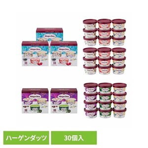 Haagen-Dazs A\[goGeBio[YA\[g×3NVbNA\[g×2j AH-LCCACX n[Q_bc A\[g oj NbL[N[ Xgx[ [Y O[eB n
