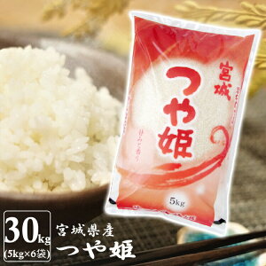 宮城県産 つや姫 5kgの人気商品 通販 価格比較 価格 Com