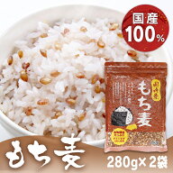【2袋】国産 もち麦 もちむぎ 国内産もち麦 280g 送料無料 もちもち プチプチ 食物繊維 β-グルカン ダイ…