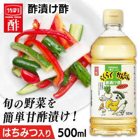 ＼1000円ポッキリ／漬物酢 酢漬け酢 500ml ピクルス酢 らくらく簡単酢漬け酢 500ml 酢 調味料 内堀醸造 酢漬け酢 ピクルス 甘酢 野菜の浅漬け お祝い 内祝い お返し 贈答品 贈物 御祝 【D】