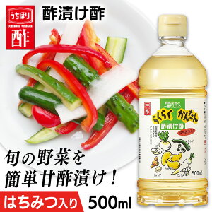Е| |Ђ| 500ml sNX| 炭炭ȒP|Ђ| 500ml |  x |Ђ| sNX Ð| ؂̐Ђ j j Ԃ i  j[2509SE]