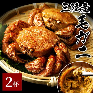 Jj I  OY{CуKj250g 2Zbg肭݂炢 т  OY {C C JjX Ⓚ O т̂ ̂ ܂ C̍K Mtg O Ε 