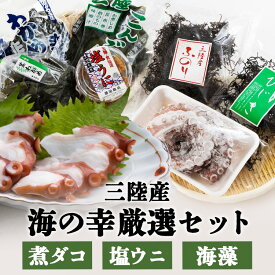 たこと海藻セット（三陸産） 送料無料 たこ 三陸産 塩ウニ お取り寄せ 冷凍 気仙沼 わかめ 茎わかめ 昆布 三陸未来 御歳暮 お歳暮 冬ギフト 【TD】【代引不可】