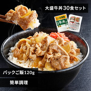 吉野家 牛丼 冷凍食品 パックご飯 米 吉野家 冷凍牛丼の具 大盛 160g 30食セット パックご飯 米 120g×40パック 送料無料 牛丼 冷凍 30食 冷凍 冷食 パックごはん レトルトごはん 丼の具 仕送り 冷