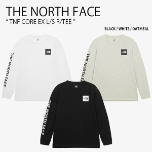 THE NORTH FACE ノースフェイス ロンT TNF CORE EX L/S R/TEE コア ロングスリーブ 