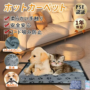 yr[TJo[zybgpzbgJ[ybg 45×45cm 45×70cm ybgq[^[L  h zbgJ[ybg dCѕz ybgpq[^[ ybg}bg PESF ybgѕz x dM