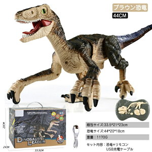 {bg   gݗ  WR d {bg 􂦂  {bg WRRt 唗  tBMA A LEDCg q   _C