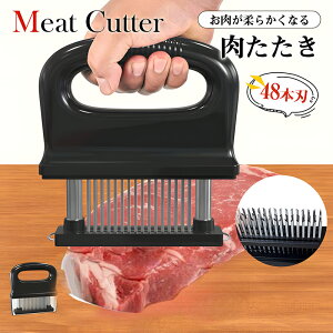 ؐ؂ ~[ge_CU[ 48{ndl WJ[h یJo[t  XeX O XeXLb` h  _炩 Kтɂ Xe[L 