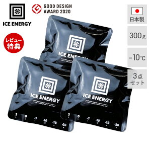 ACXGiW[ ۗ 300g -10 3Zbg \tg ۗpbN { ^ X_ @\  ubN   AEghA Lv _炩 BBQ h ቷۗ ubNL