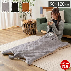 yXTtzThNbV Aj}  Ђ| uPbg l 90×120 tl {A JCC ObY  g ӂӂ Lbg xA tHbNX 