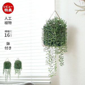 yXTtzlHϗtA tFCNO[ ݂艺 nMO   CeA O[ A[eBtBV   Mtg Vzj JXj zj  