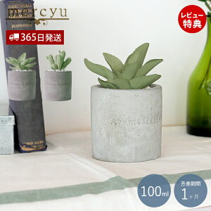 y365o&XTtzfBt[U[ XeBbN A} [hfBt[U[ tFCNO[ [tOX k   F lC T{e A MRU-73 mercyu 